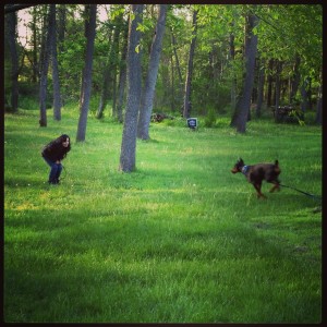 James River Dog Training in Richmond VA will teach your dog to have a reliable recall. 